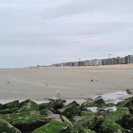 Apartment Near Ostend With Sea View *