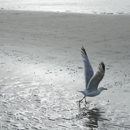 Daire Near Ostend With Sea View